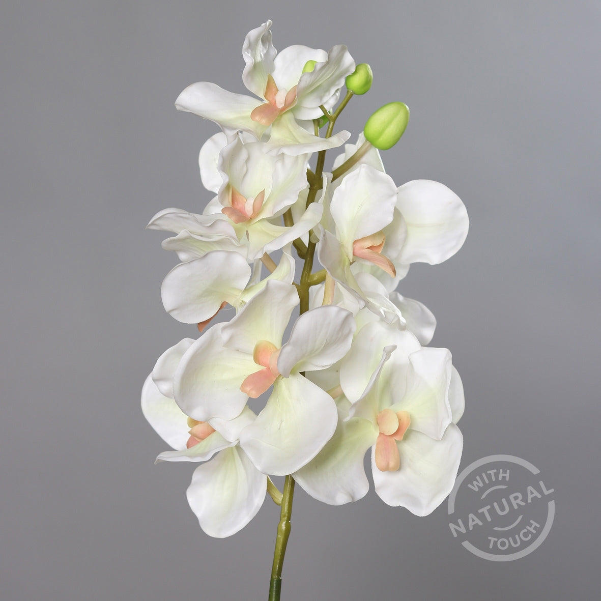 Orhidee artificiala la fir, culoare crem, 74 cm