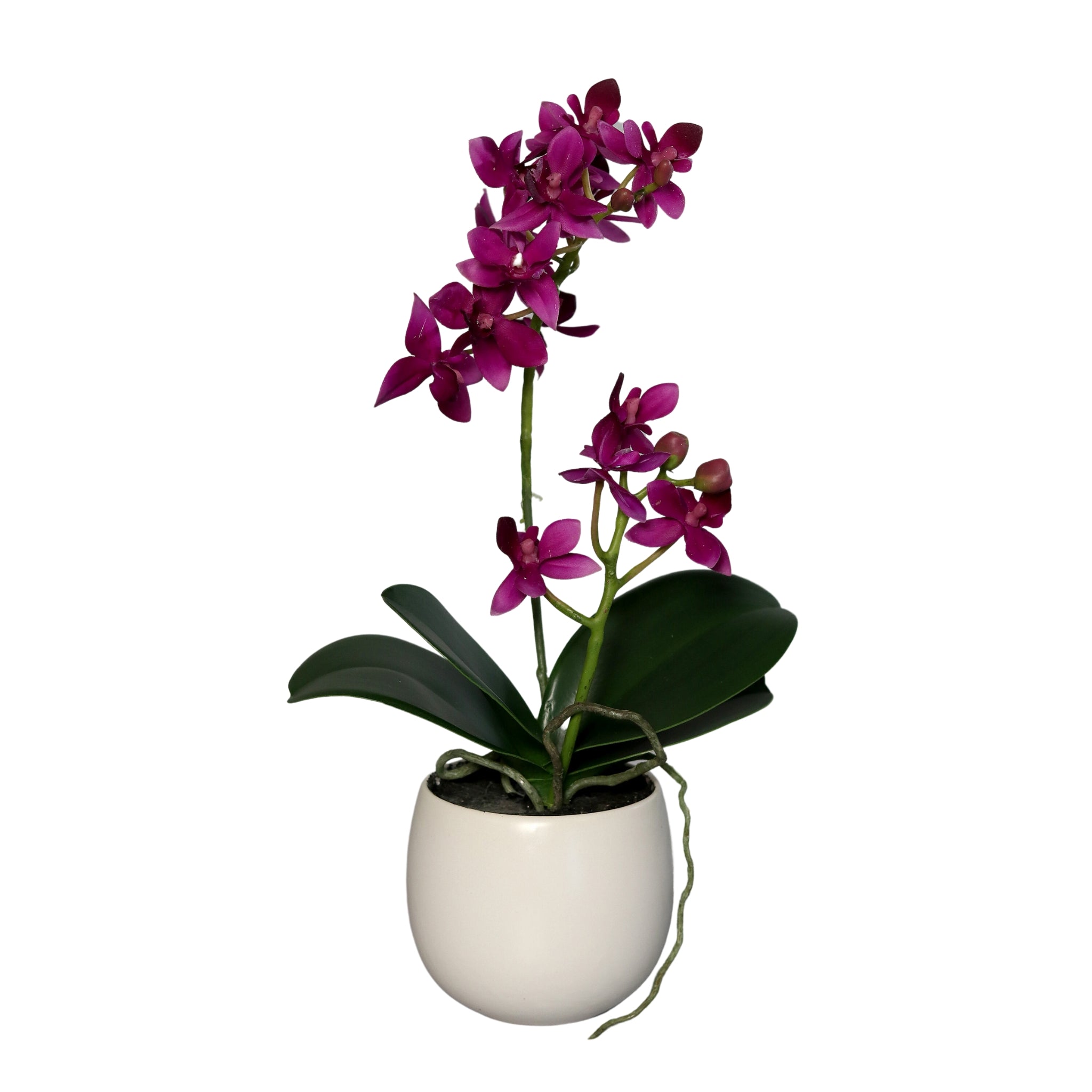 Orhidee artificiala Phalaenopsis mov cu aspect 100% natural in vas ceramic, 34 cm