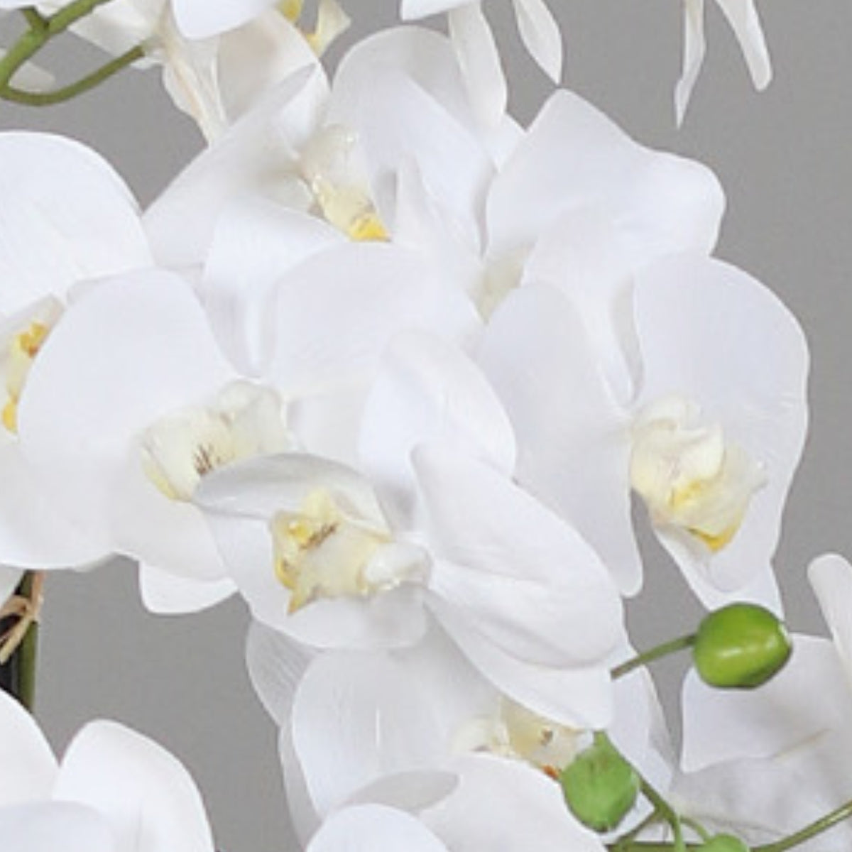 Orhidee artificiala alba cu aspect natural, in bila de pamant, 95 cm