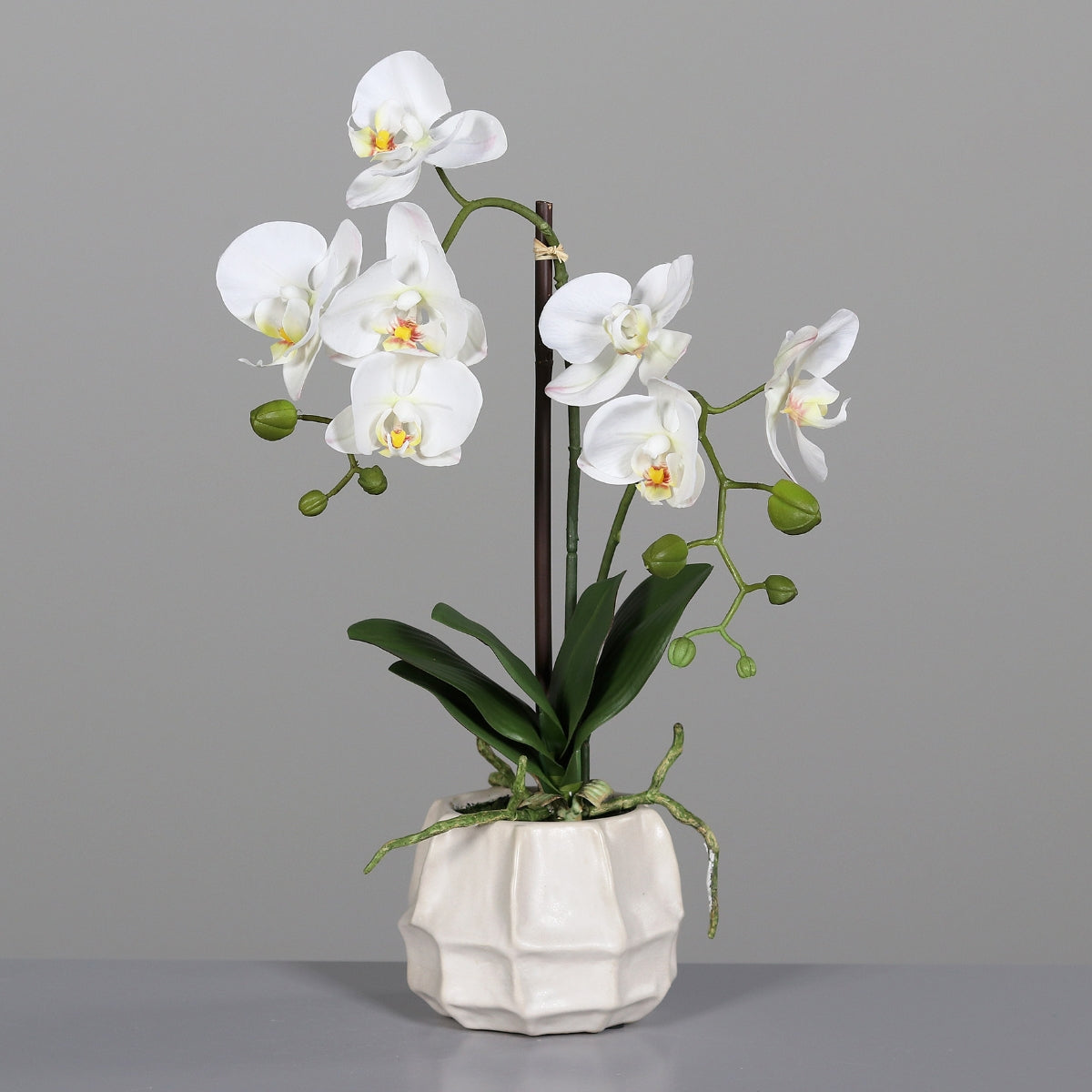 Orhidee artificiala Phalaenopsis alba in vas ceramic alb, 48 cm