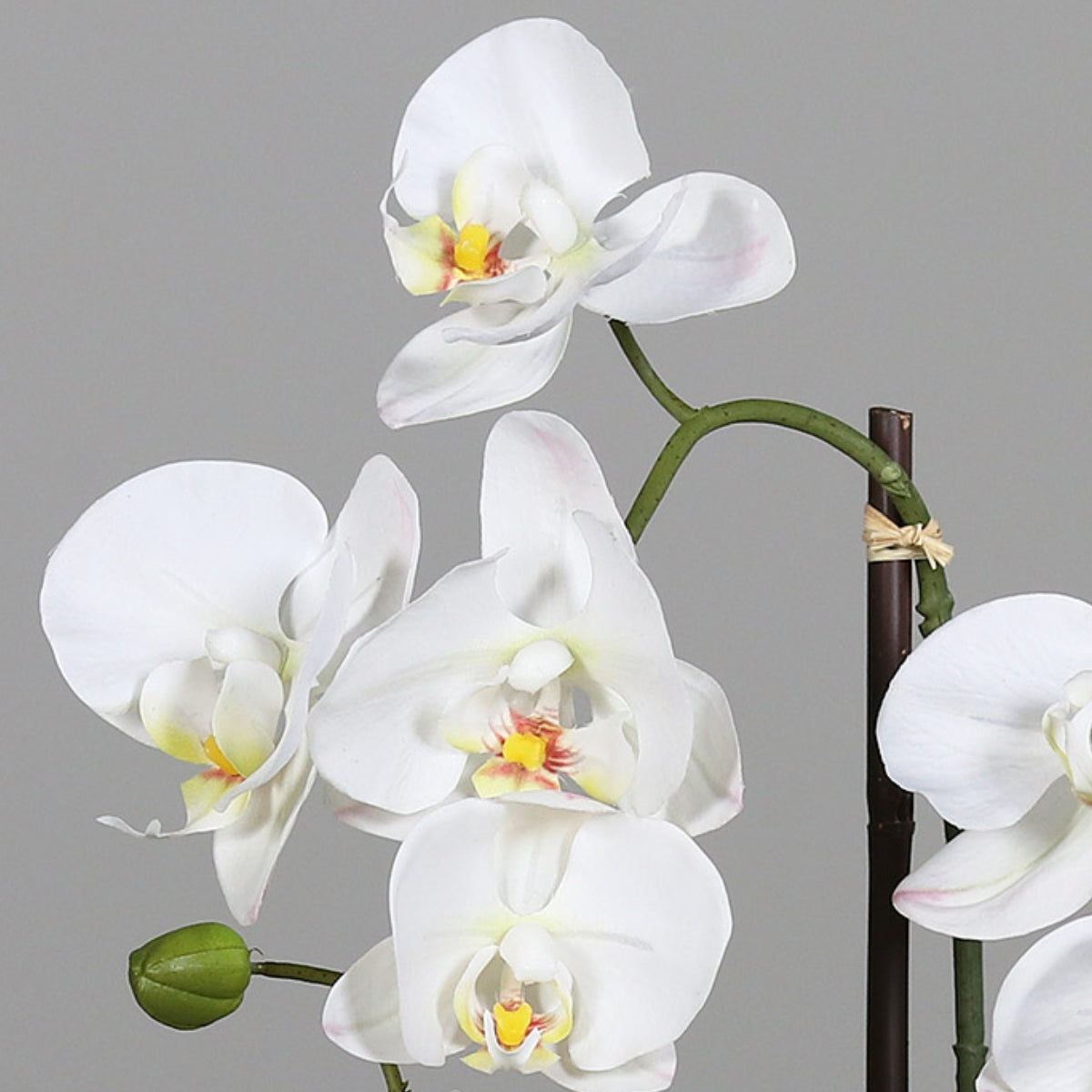 Orhidee artificiala Phalaenopsis alba in vas ceramic alb, 48 cm