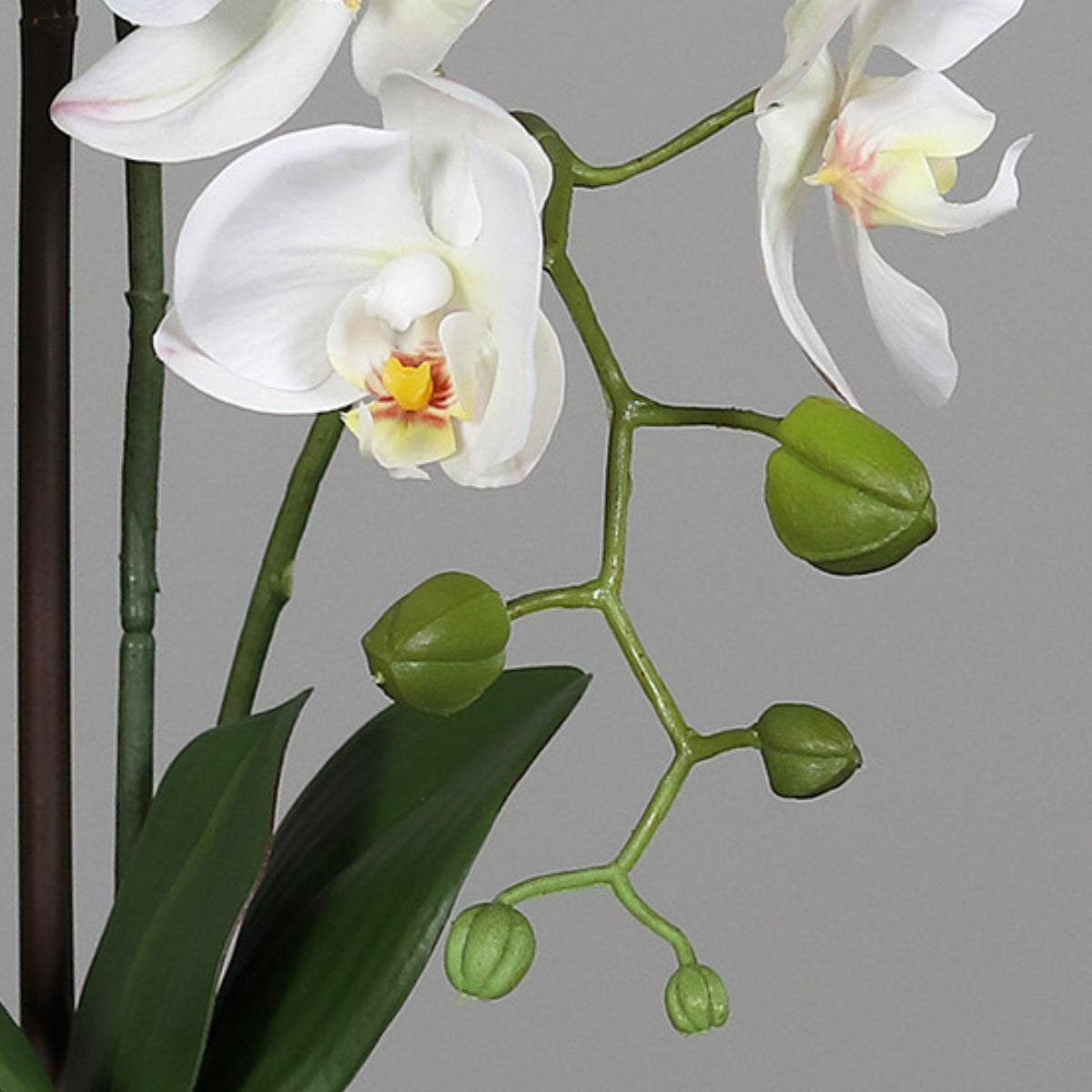Orhidee artificiala Phalaenopsis alba in vas ceramic alb, 48 cm
