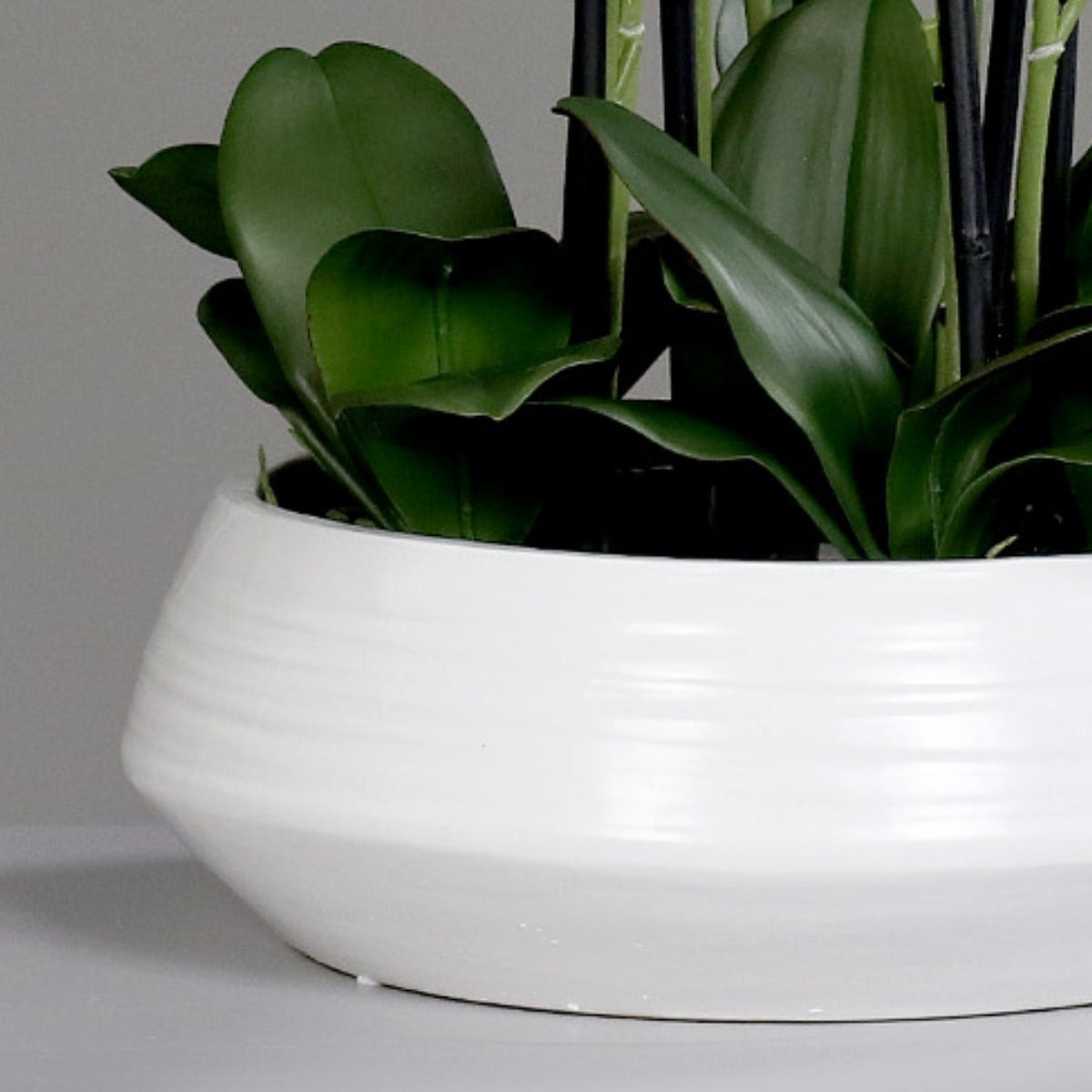Aranjament cu orhidee artificiala alba in vas ceramic, 90 cm