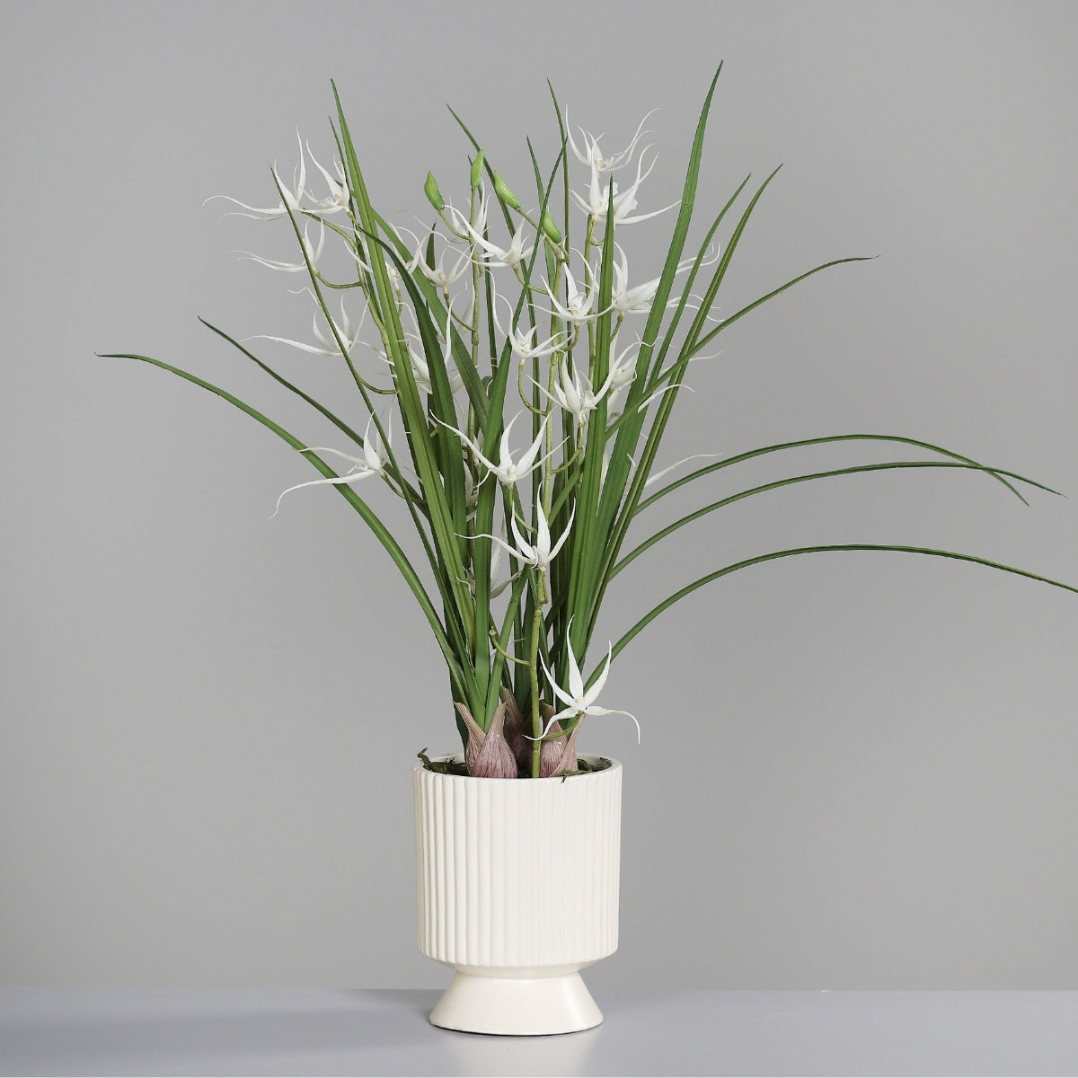 Aranjament cu orhidee artificiala Spider alba in vas ceramic, 67 cm