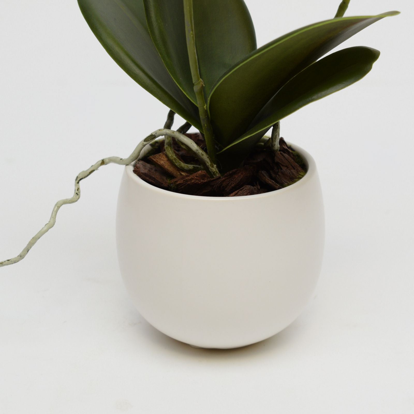 Orhidee artificiala Phalaenopsis galbena cu aspect 100% natural in vas ceramic, 34 cm