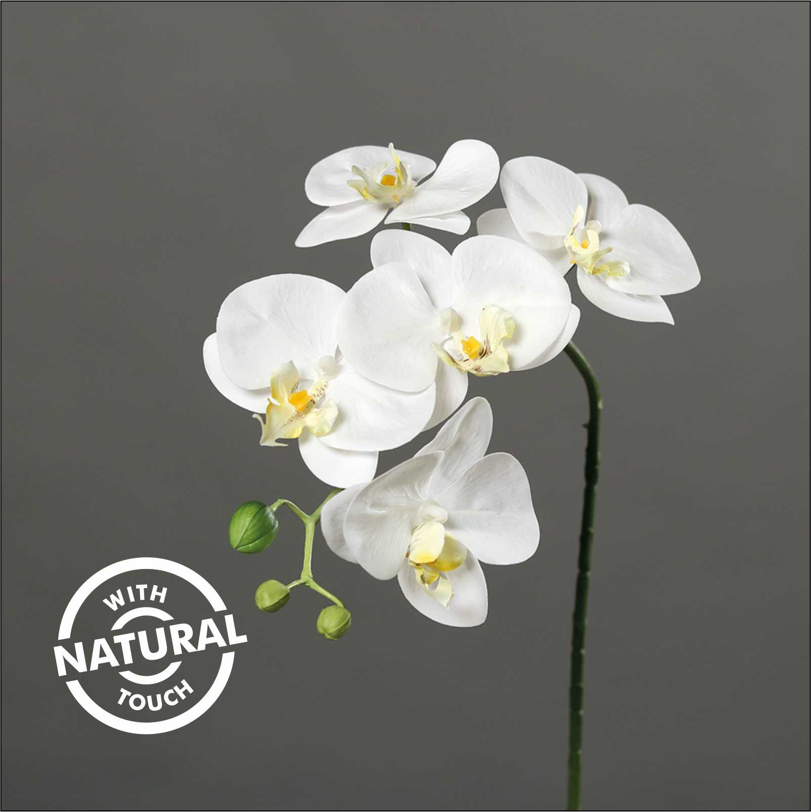 Orhidee artificiala Phalaenopsis alba cu aspect 100% natural, 52 cm