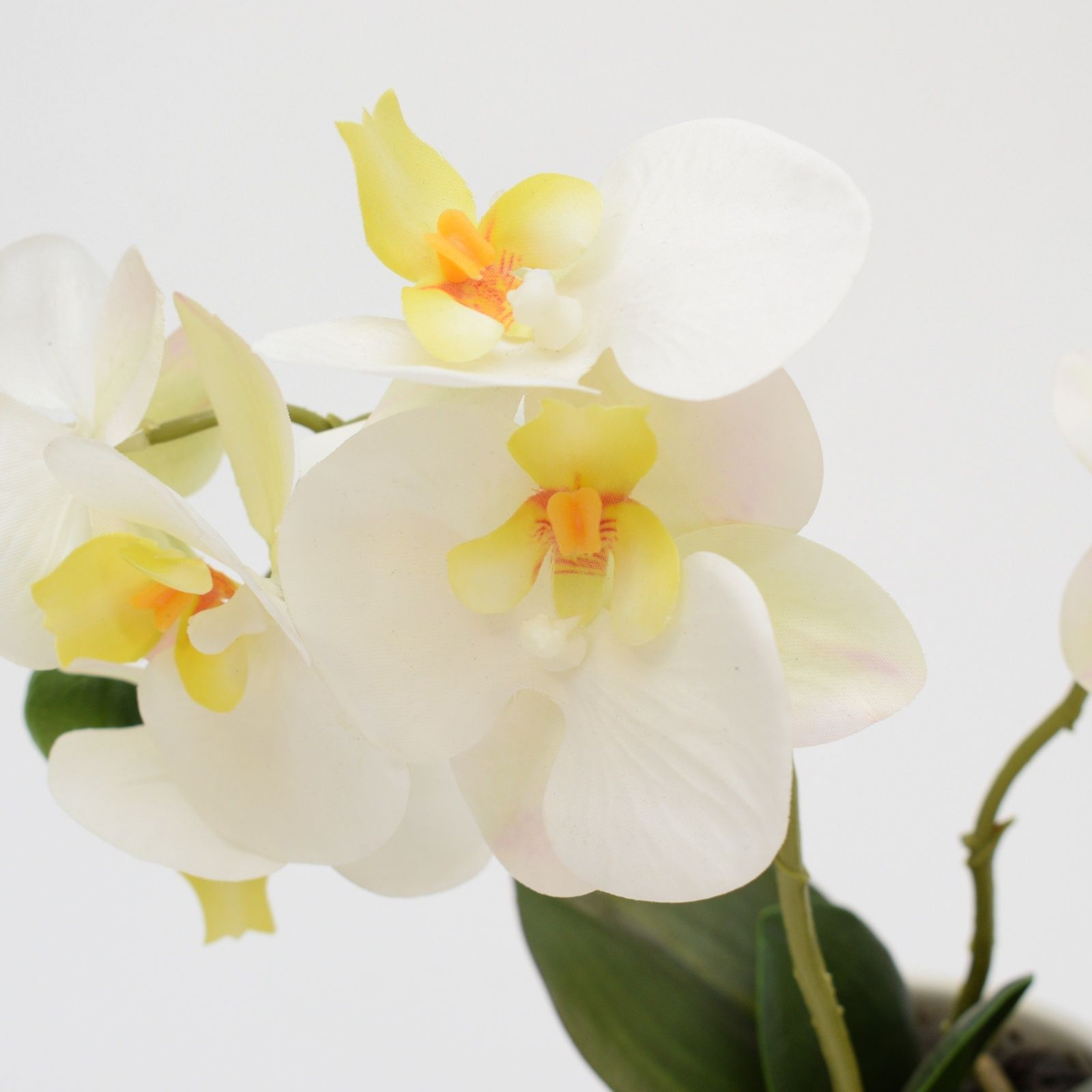 Orhidee artificiala Phalaenopsis alba in vas ceramic, 30 cm