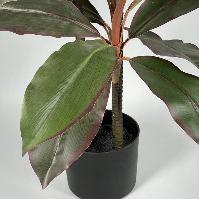 Planta artificiala dracena cu aspect 100% natural 120 cm
