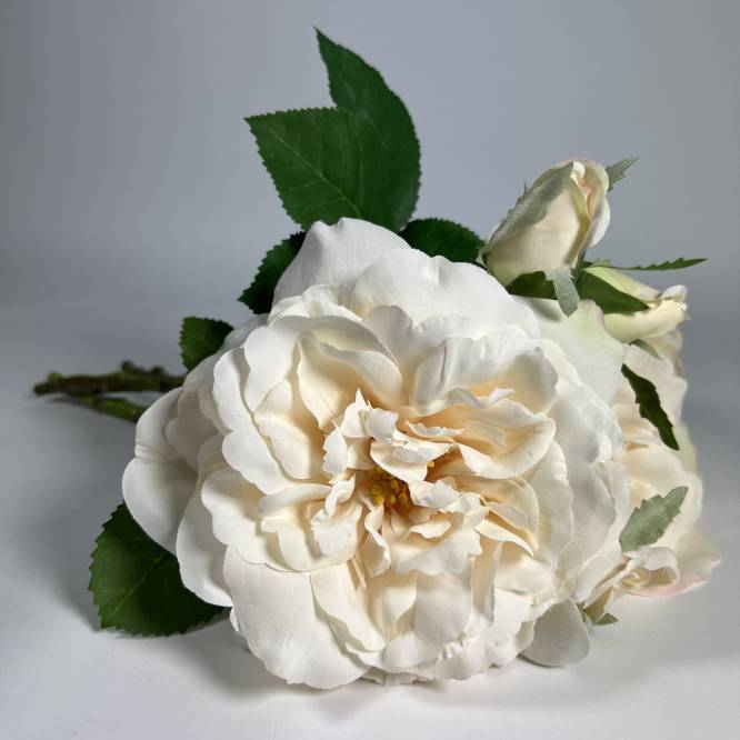 Buchet trandafiri crem 36 cm