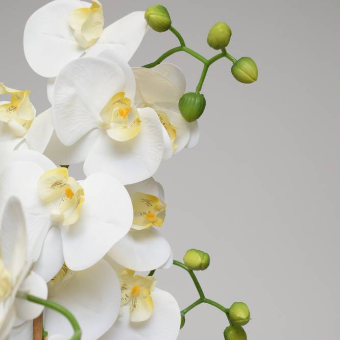 Orhidee artificiala alba in ghiveci, cu  aspect 100% natural, 100 cm