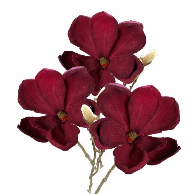 Set trei magnolii burgundy 26 cm