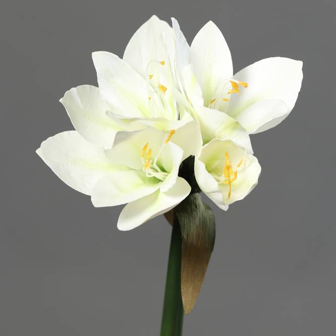 Amaryllis artificial la fir, alb, 30 cm
