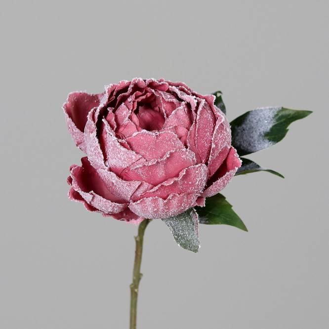 Set trei bujori roz de gheata 35 cm