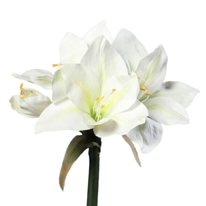 Amaryllis artificial la fir, alb, 56 cm