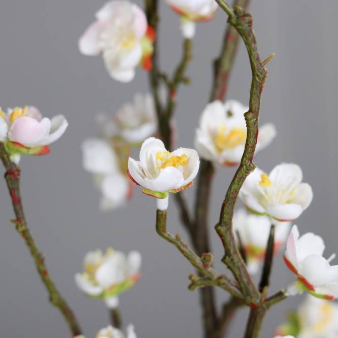 Crenguta de cires artificiala cu flori albe 70 cm