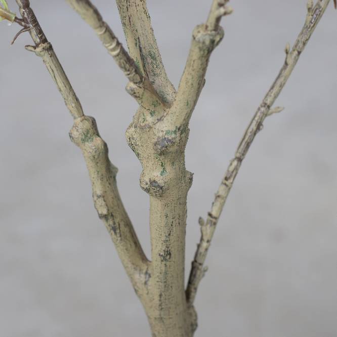 Arbust decorativ artificial cires cu flori roz in ghiveci, 125 cm