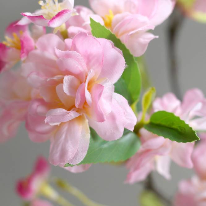 Cires artificial pitic cu flori roz, in ghiveci, 40 cm