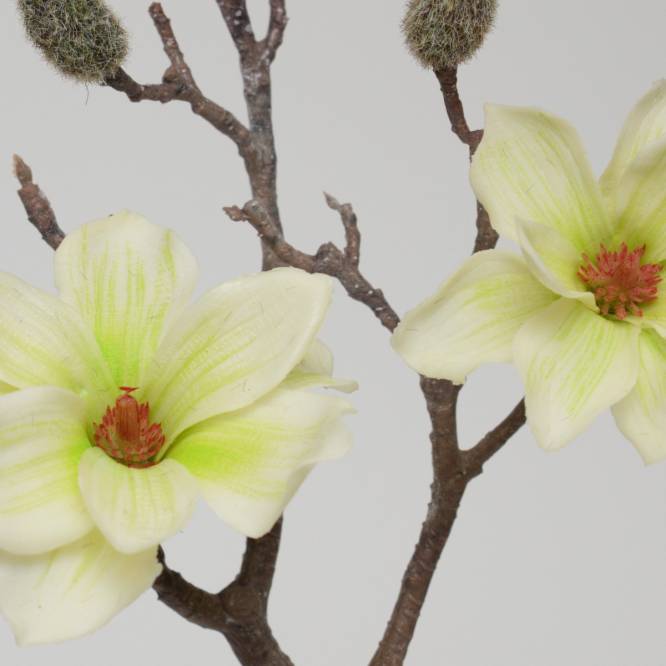Magnolie artificiala crem 48 cm, aspect 100% natural