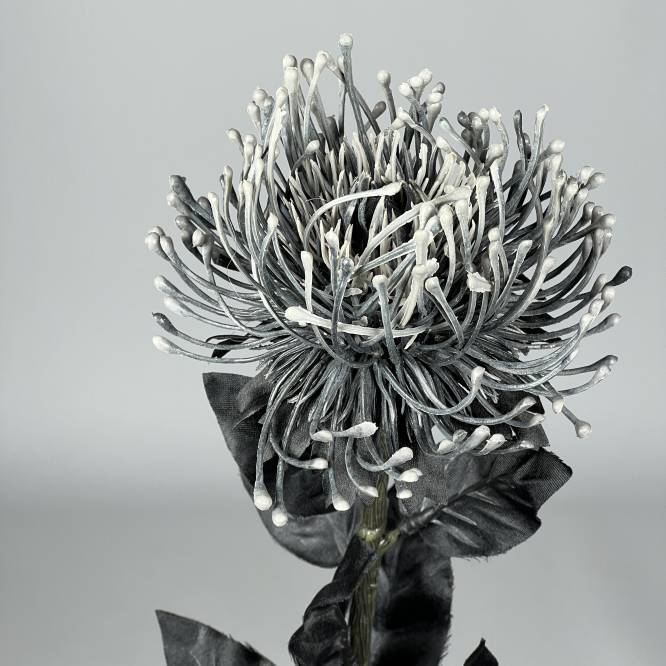Protea artificiala neagra 74 cm