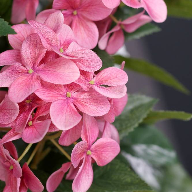 Hortensii artificiale roz si mov in tufa de 18 fire in vas de plastic, 67 cm