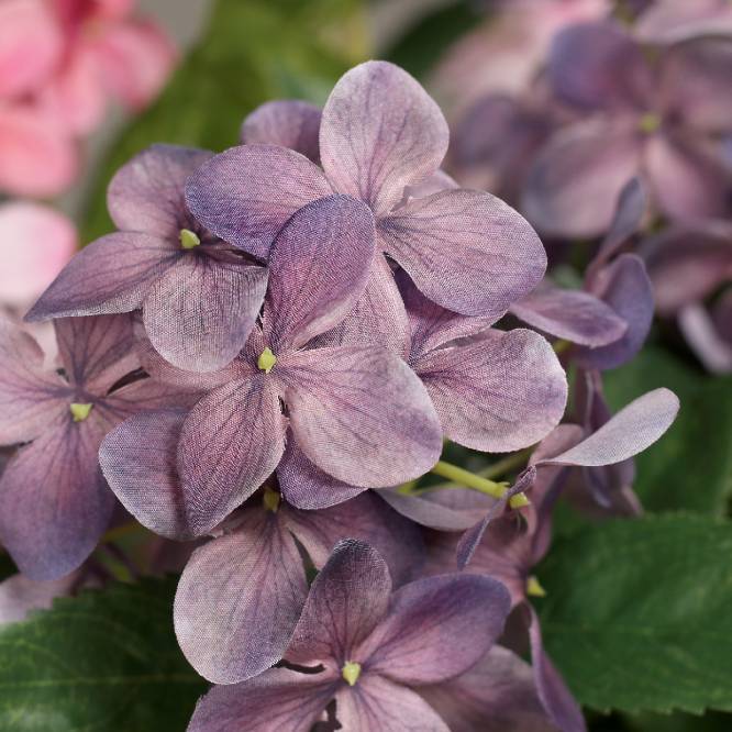 Hortensii artificiale roz si mov in tufa de 18 fire in vas de plastic, 67 cm
