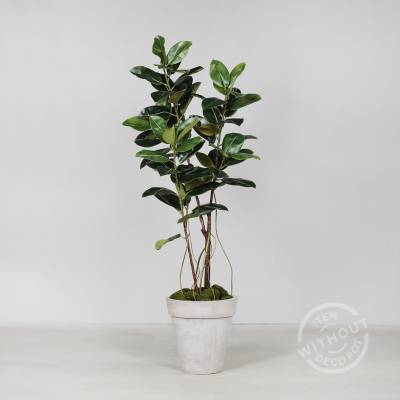 Ficus Elastica artificial aspect 100% natural 180 cm