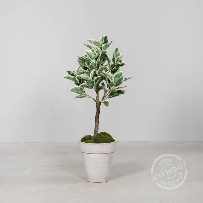 Ficus artificial aspect 100% natural 90 cm