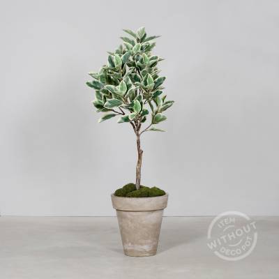 Ficus artificial aspect 100% natural 120 cm