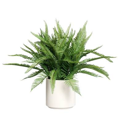 Feriga artificiala in tufa, in vas alb de plastic, 70 cm