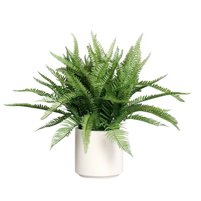 Feriga artificiala in tufa, in vas alb de plastic, 70 cm