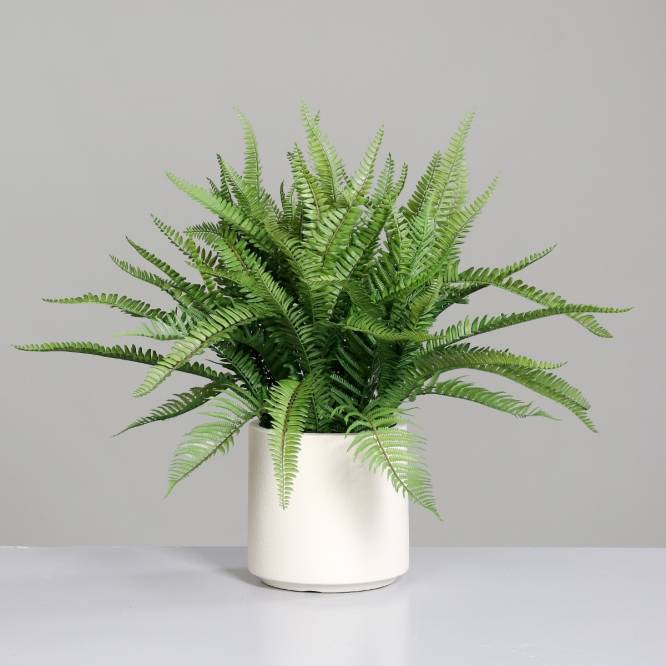 Feriga artificiala in tufa, in vas alb de plastic, 70 cm