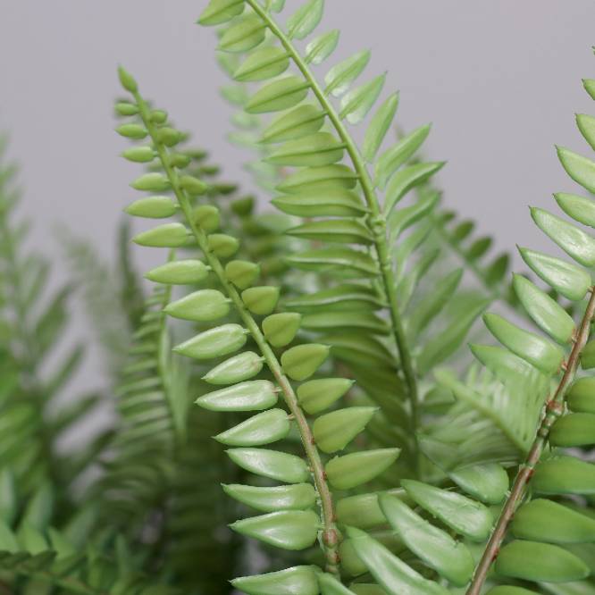 Feriga artificiala in tufa, in vas alb de plastic, 70 cm