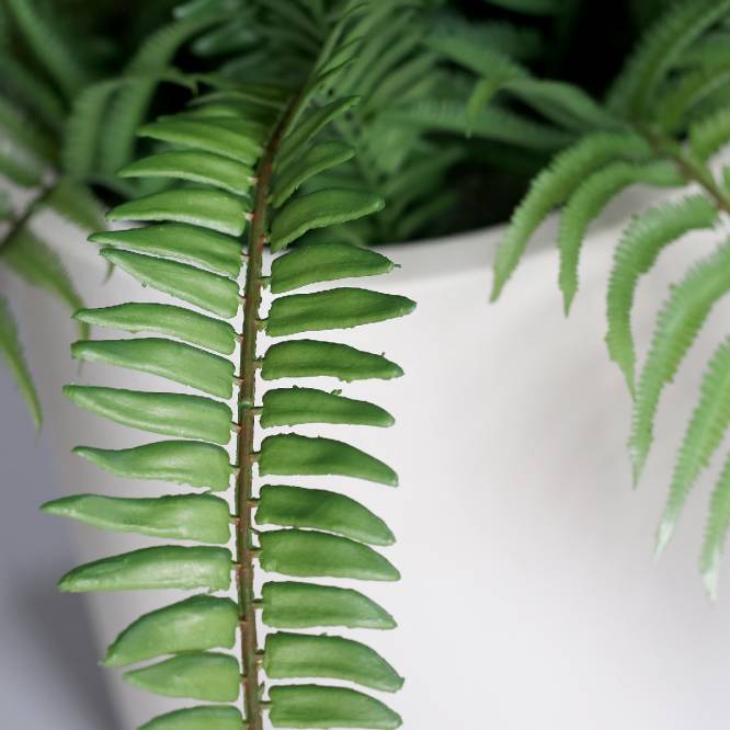 Feriga artificiala in tufa, in vas alb de plastic, 70 cm