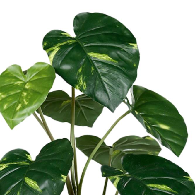 Planta Pothos artificiala cu aspect 100% natural 82 cm