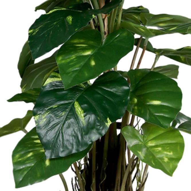 Planta Pothos artificiala cu aspect 100% natural 82 cm