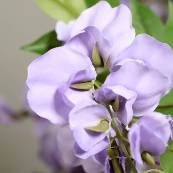 Planta decorativa artificiala glicina cu flori mov in ghiveci, 120 cm