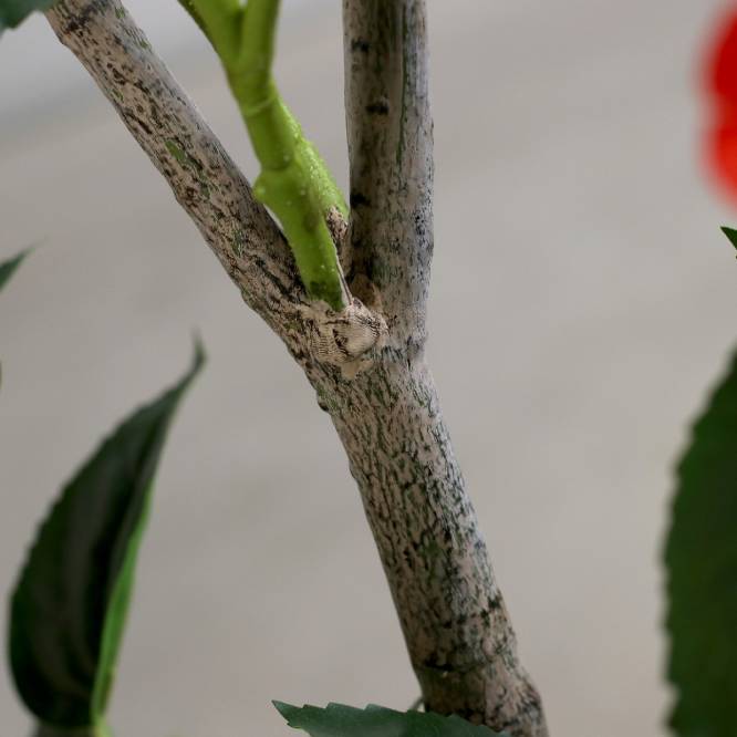 Planta decorativa trandafir japonez artificial rosu in ghiveci de plastic, 120 cm