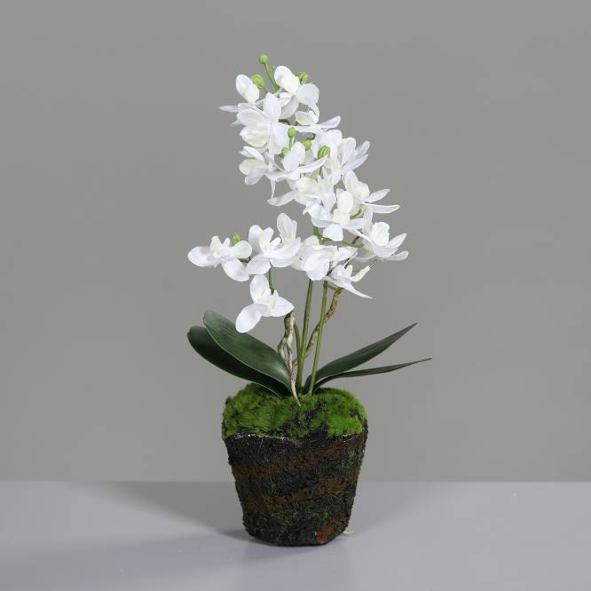 Orhidee artificiala alba in bila de pamant 30 cm
