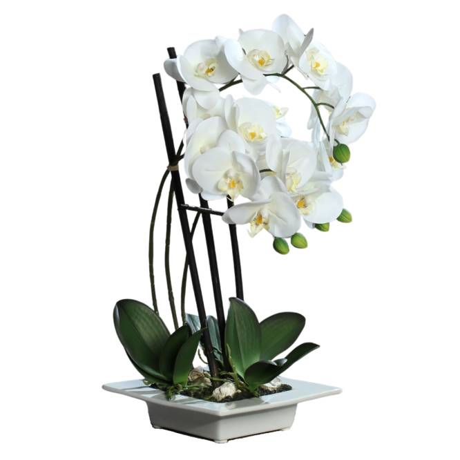 Orhidee artificiala Phalaenopsis Fresh alba cu aspect 100% natural in vas ceramic ,  46 cm