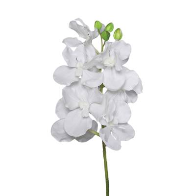 Orhidee artificiala la fir, culoare alba, 74 cm
