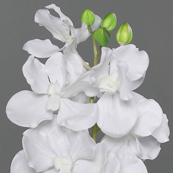 Orhidee artificiala la fir, culoare alba, 74 cm