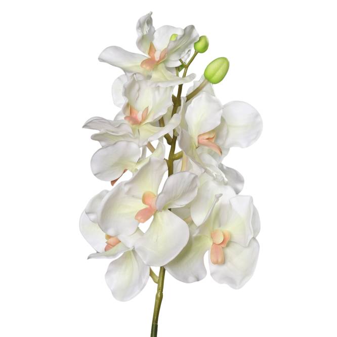 Orhidee artificiala la fir, culoare crem, 74 cm