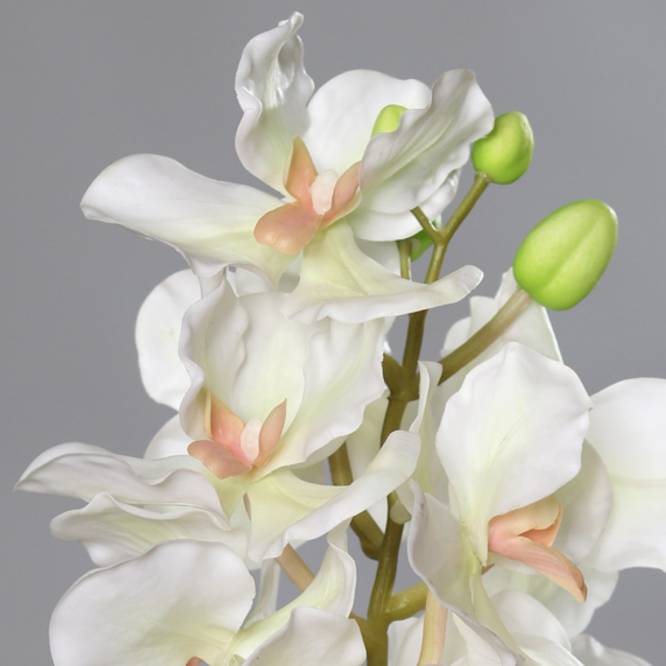 Orhidee artificiala la fir, culoare crem, 74 cm
