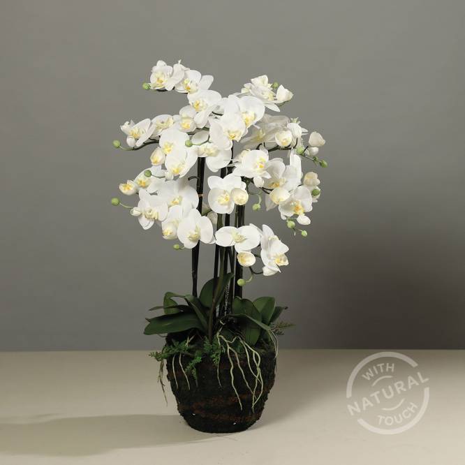 Orhidee artificiala alba cu aspect 100% natural in bila de pamant 97 cm