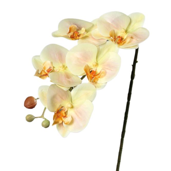 Orhidee artificiala Phalaenopsis crem cu aspect 100% natural, fir, 52 cm
