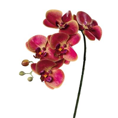 Orhidee artificiala Phalaenopsis bordo cu aspect 100% natural, fir, 52 cm
