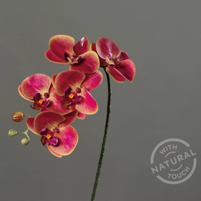 Orhidee artificiala Phalaenopsis bordo cu aspect 100% natural, fir, 52 cm