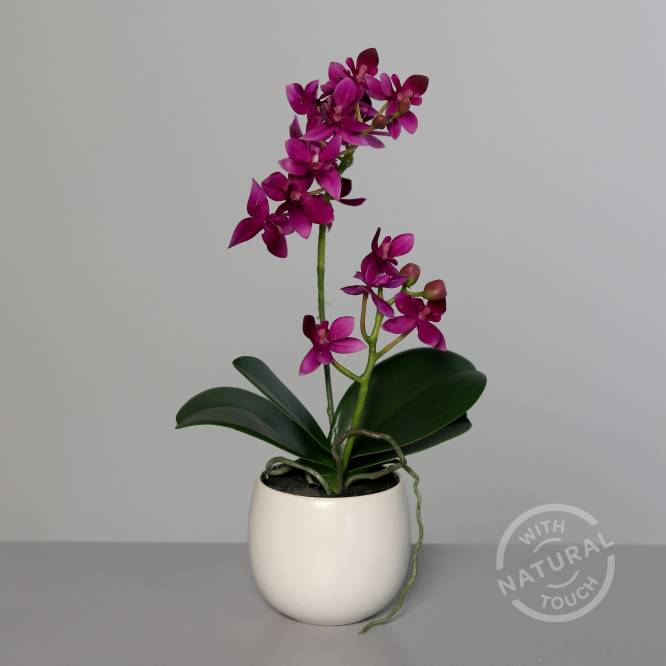 Orhidee artificiala Phalaenopsis mov cu aspect 100% natural in vas ceramic, 34 cm