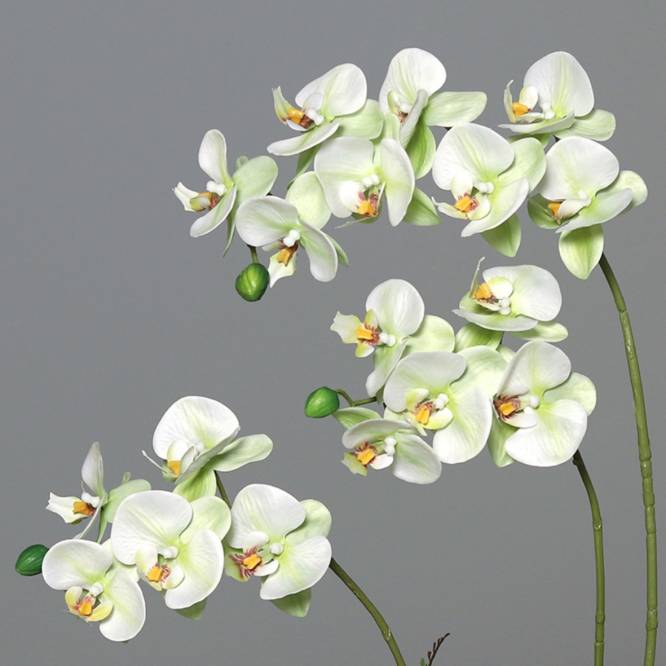 Orhidee artificiala alb-vernil in vas ceramic argintiu, 54 cm