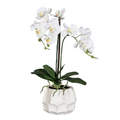 Orhidee artificiala Phalaenopsis alba in vas ceramic crem, 50 cm